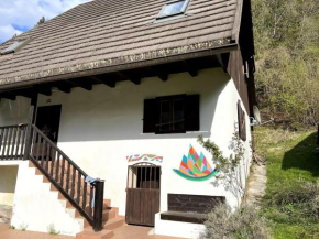 Huge Cottage in the Heart of the Triglav National Park Soča